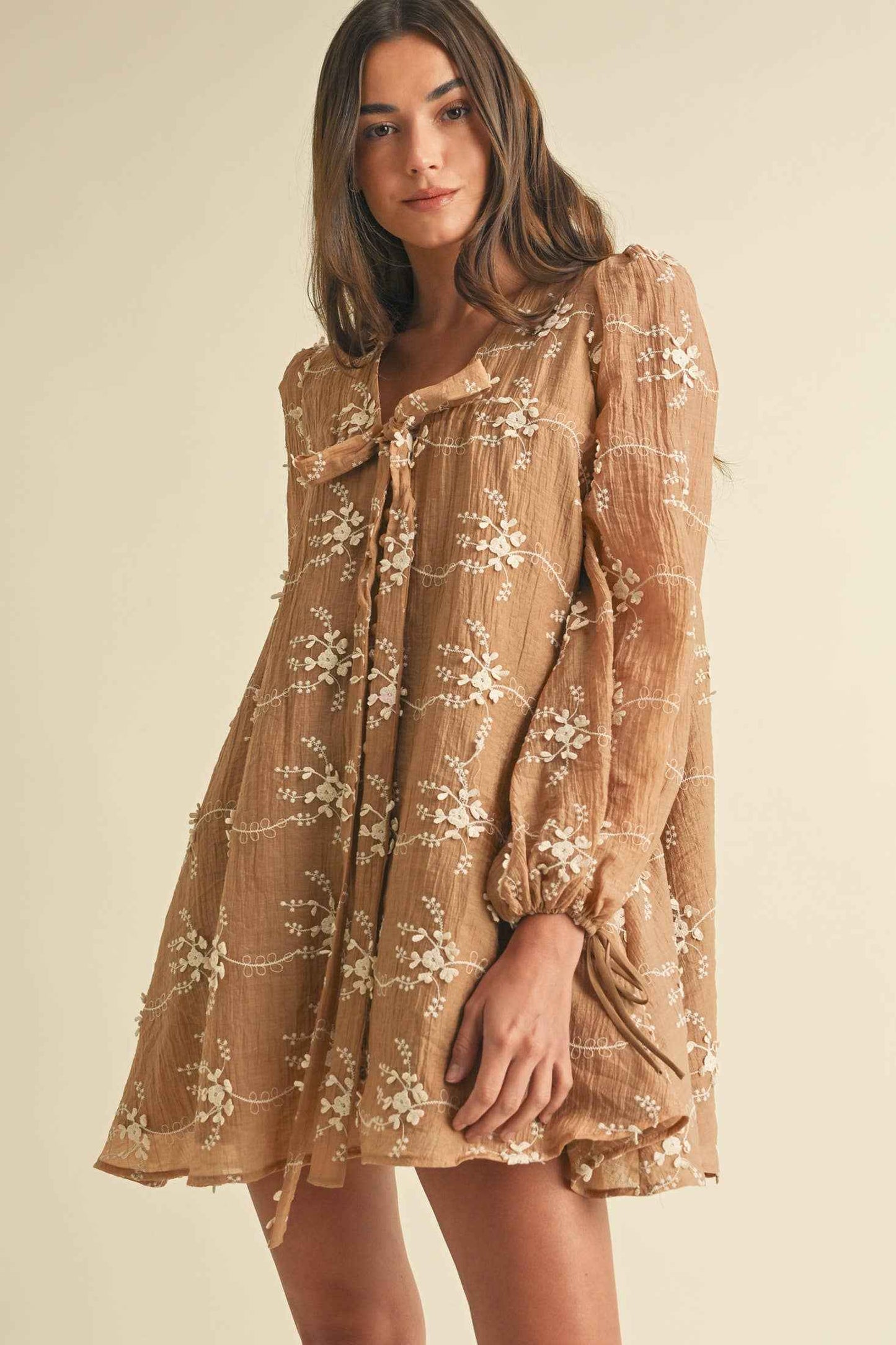 Embroidered Long Sleeve Mini Dress LD1678