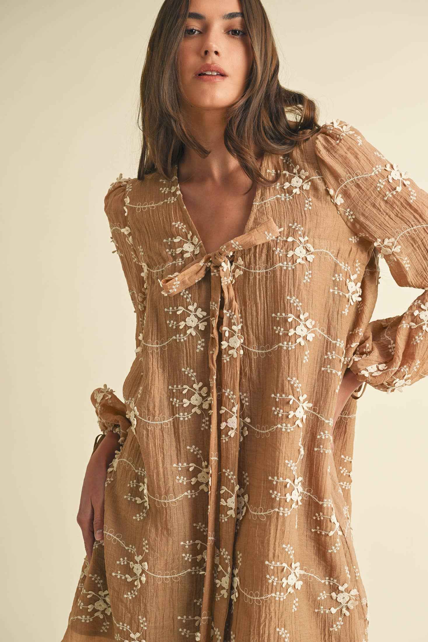 Embroidered Long Sleeve Mini Dress LD1678