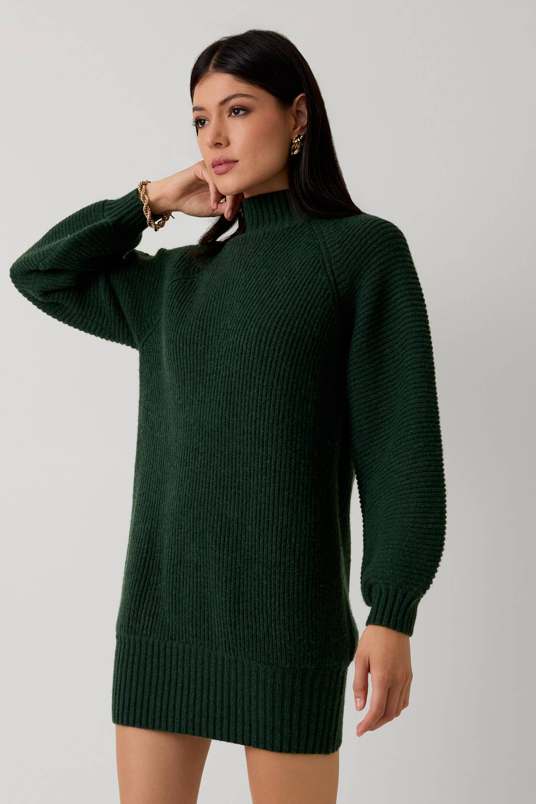 Alpine Sweater Dress - The Envy Co