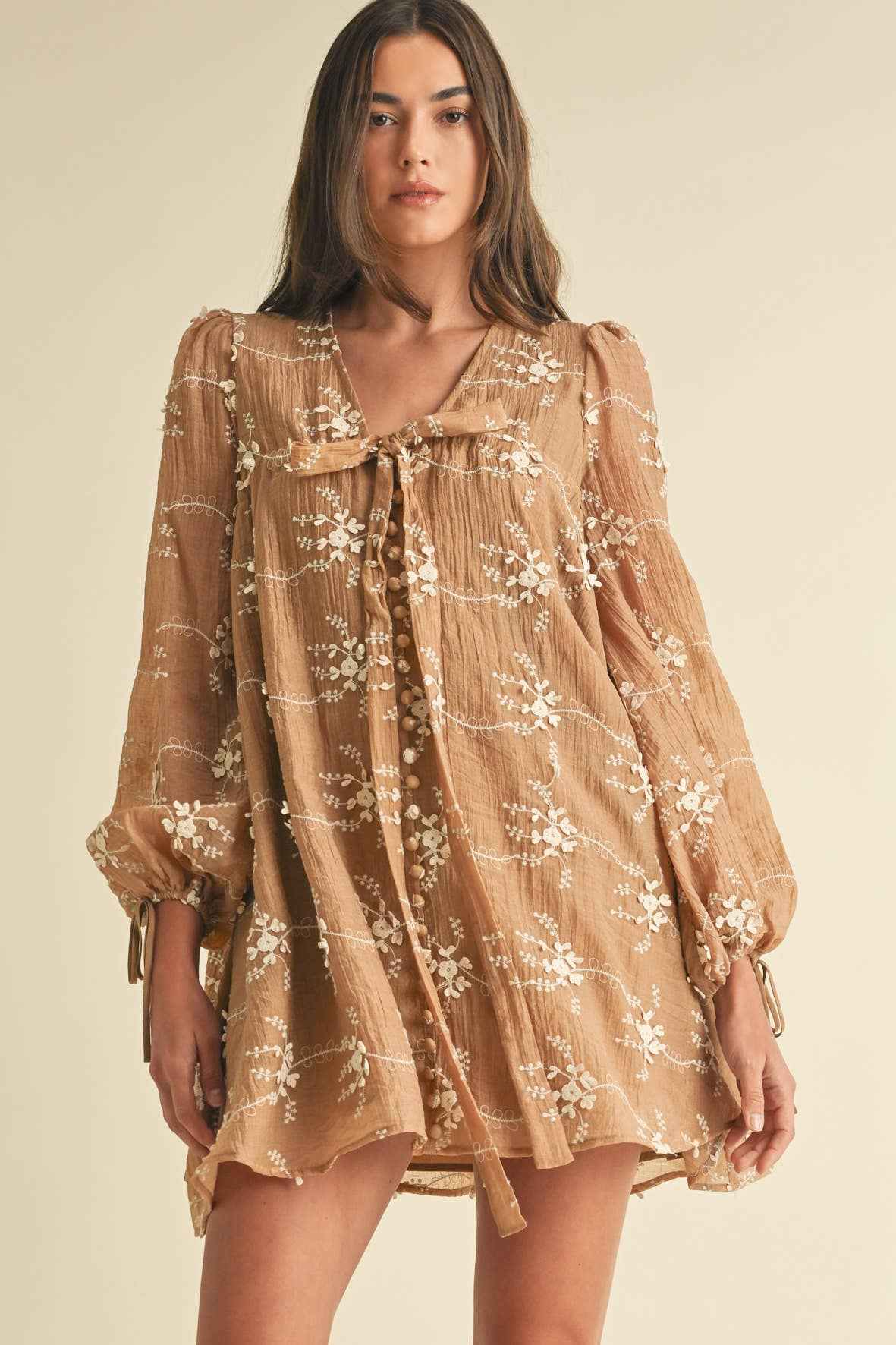 Embroidered Long Sleeve Mini Dress LD1678