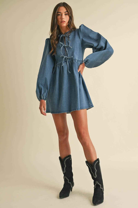 Denim Daydream Mini Dress