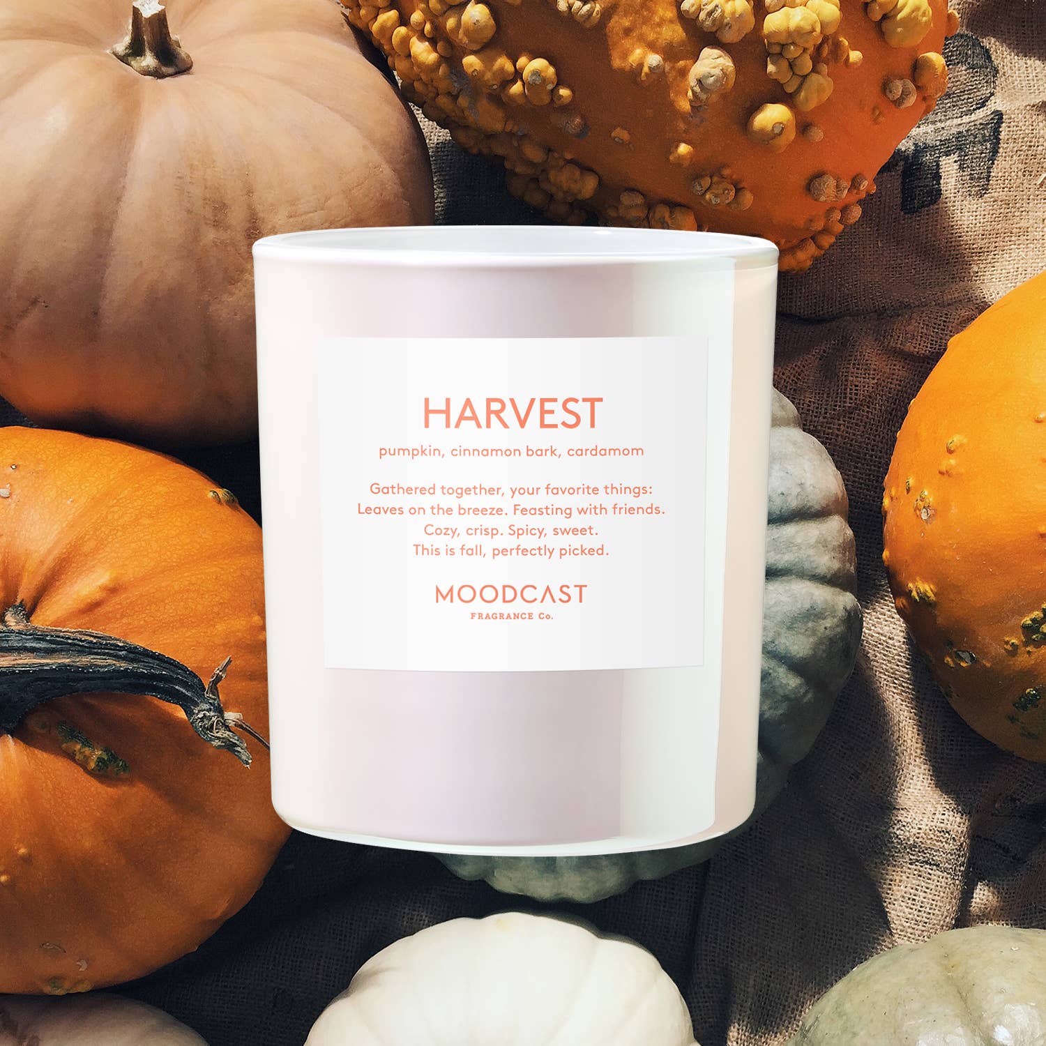 Seasonal Candle - Pearlescent - Harvest - 8 oz Glass Jar - The Envy Co