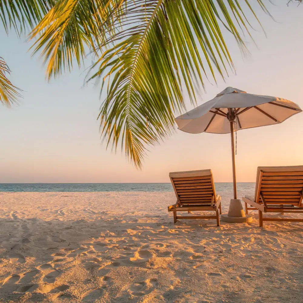 Coconut Wax Candle - The Envy Co